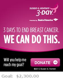 Help me reach my goal for the Susan G. Komen Tampa Bay 3-Day